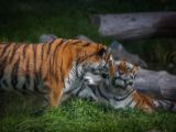 20140907-IMG 3976