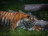 20140907-IMG 3977