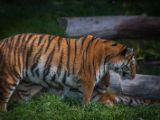 20140907-IMG 3979