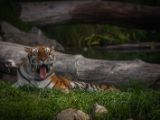 20140907-IMG 3985
