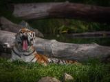 20140907-IMG 3987