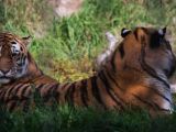 20140907-IMG 3995