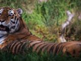 20140907-IMG 3998