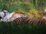 20140907-IMG 4001