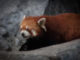 20140907-IMG 4010