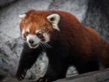 20140907-IMG 4017