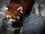 20140907-IMG 4022