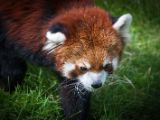 20140907-IMG 4023