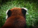 20140907-IMG 4025