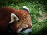 20140907-IMG 4026