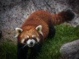 20140907-IMG 4029