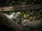 20140907-IMG 4036