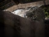 20140907-IMG 4040