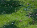 20140907-IMG 4042