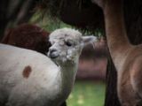 20140907-IMG 4051