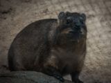 20140907-IMG 4056