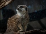 20140907-IMG 4069