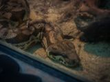 20140907-IMG 4074