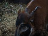20140907-IMG 4082