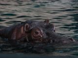 20140907-IMG 4089