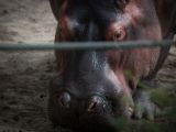 20140907-IMG 4094