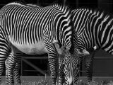 20140907-IMG 4097