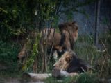 20140907-IMG 4101