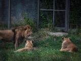 20140907-IMG 4106