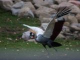20140907-IMG 4113