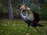 20140907-IMG 4114