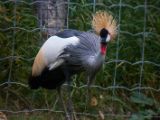 20140907-IMG 4116