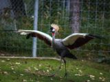 20140907-IMG 4117
