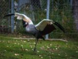 20140907-IMG 4118