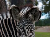 20140907-IMG 4121