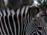 20140907-IMG 4122