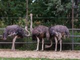 20140907-IMG 4128
