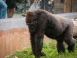 20140907-IMG 4143