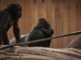 20140907-IMG 4153