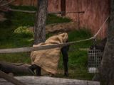20140907-IMG 4162