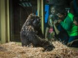 20140907-IMG 4174
