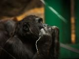 20140907-IMG 4177