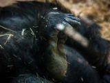 20140907-IMG 4181