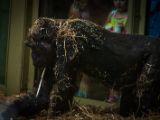 20140907-IMG 4184