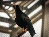 20140907-IMG 4191