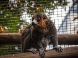 20140907-IMG 4202