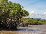 IMG 7754 : 2017, Costa Rica, Isla Chira