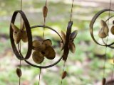 IMG 7840 : 2017, Costa Rica, Isla Chira