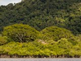 IMG 7943 : 2017, Costa Rica, Landscape