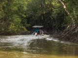 IMG 8145 : 2017, Costa Rica, Mangroven
