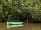IMG 8155 : 2017, Costa Rica, Mangroven